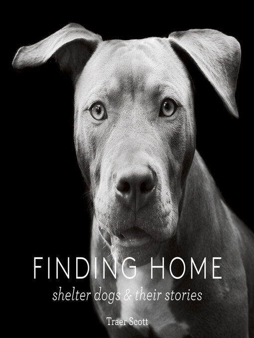 Title details for Finding Home by Traer Scott - Available